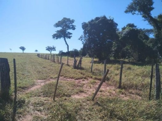 Sítio – Ribeirão Bonito/SP