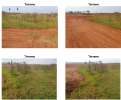 Terreno Urbano – 250,00 m² – Marília/SP