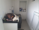 Apartamento Urbano – 102,12 m² – Bauru/SP